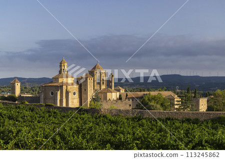 Royal Abbey of Santa Maria de Poblet, cistercian monastery, Catalonia, Spain 113245862