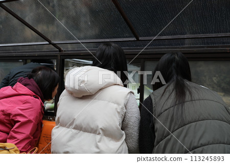 cruise ship 113245893