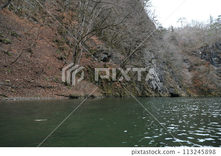 cruise ship cruise ship 113245898