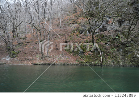 cruise ship 113245899