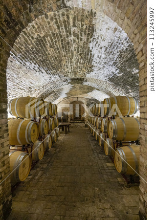 Wine cellar in Castello di Razzano, Piedmont, Italy 113245997