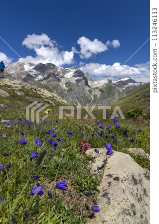 Landscape near Col de l'Iseran, Savoy, France 113246113