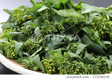 Brassica napus served in a colander Brassica napus served in a colander 113246230