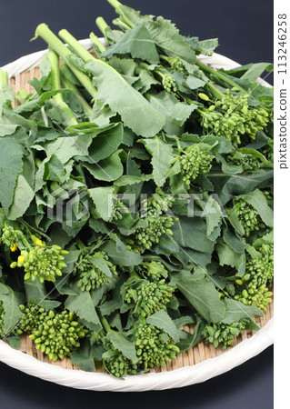 漏勺中的柿子 漏勺中的柿子 113246258