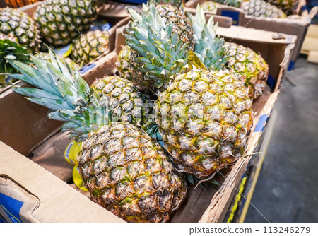 Fresh pineapples ready for sale at the superstore 113246279