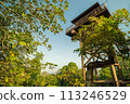 Beautiful landscape view of the Observation towers in Putrajaya Wetlands Park. 113246529