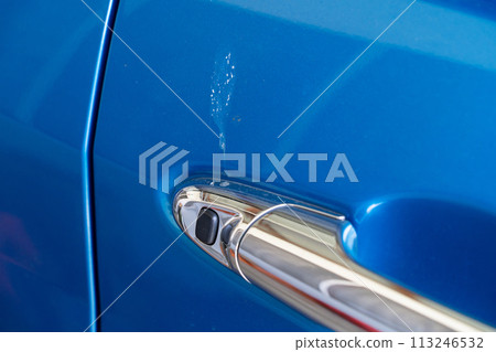 Bird poop dropping on the blue car door Bird poop dropping on the blue car door 113246532