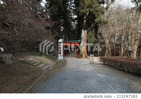 Chusonji寺 113247165