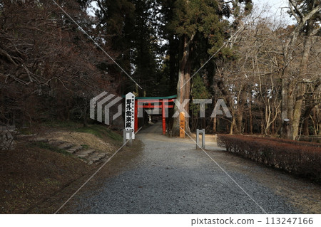 Chusonji Temple 113247166