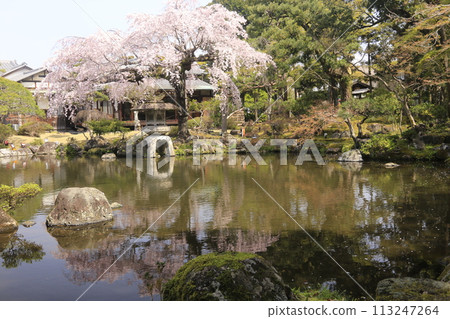 A garden with a pond A garden with a pond 113247264