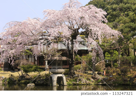 帶池塘的花園 帶池塘的花園 113247321