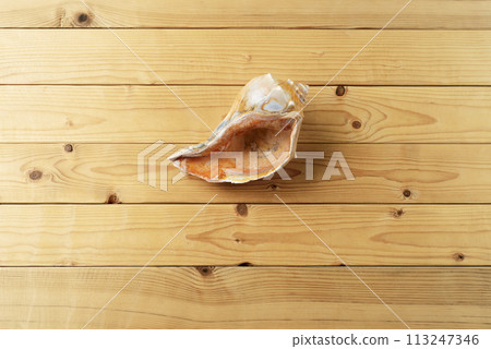 Summer vacation travel planning theme of a shell on natural wooden background flat lay with copy-space 113247346