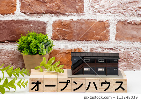 公寓參觀或開放日 公寓參觀或開放日 113248039