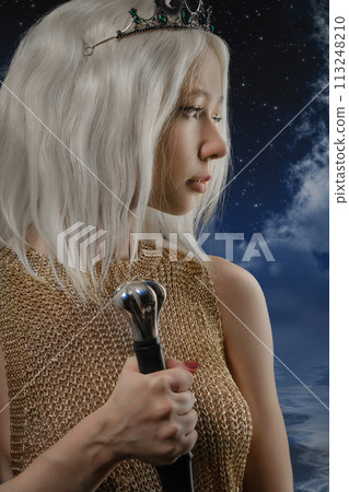 viking warrior female viking warrior female 113248210