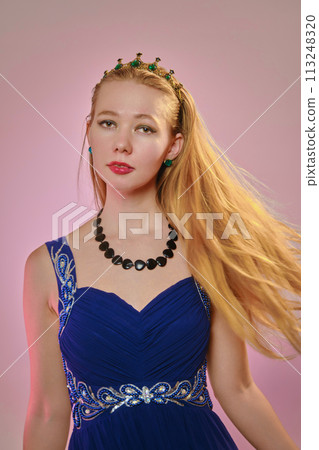 woman in crown woman in crown 113248320