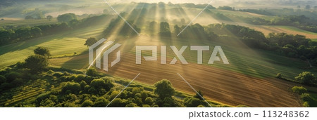 Bird's eye view of agricultural cultivated seeded fields, farmland in the rays of the rising sun, banner 113248362
