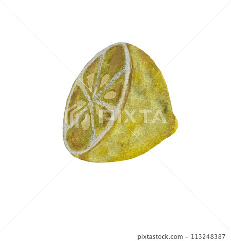 Lemon fruit yellow half a watercolor illustration Lemon fruit yellow half a watercolor illustration 113248387