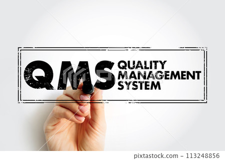QMS - Quality Management System is a collection of business processes focused on consistently meeting customer requirements, acronym business concept stamp 113248856