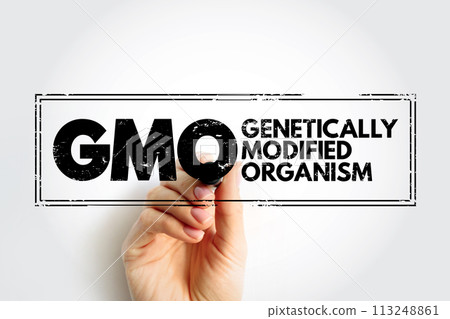 GMO - Genetically Modified Organism is any organism whose genetic material has been altered using genetic engineering techniques, acronym concept stamp 113248861