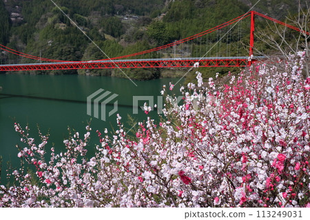 Hanamomo and Owatari Dam Bridge (Niyodogawa Town, Kochi Prefecture) 113249031