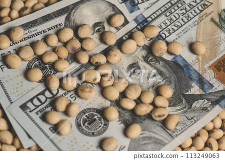Dollars banknotes and coins and soy beans,oleaginous commoditi value concept. 113249063