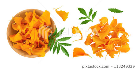 petals of fresh marigold or tagetes erecta flower isolated on white background with full depth of field. Top view. Flat lay 113249329
