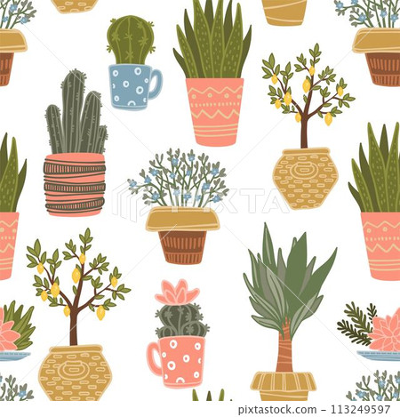 Potted plants, houseplants flora with foliage Potted plants, houseplants flora with foliage 113249597