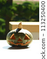 Halloween pumpkin 113250400