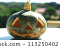Halloween pumpkin 113250402