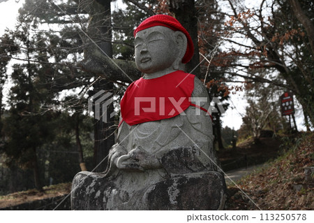 Buddha statue 113250578