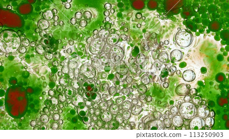 Freeze Motion Shot of Moving Color Oil Bubbles on White Background Freeze Motion Shot of Moving Color Oil Bubbles on White Background 113250903