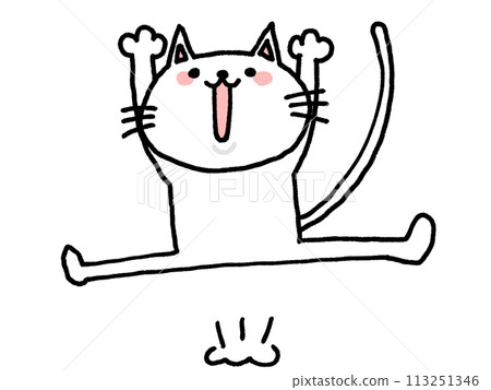 Cat rejoices 113251346