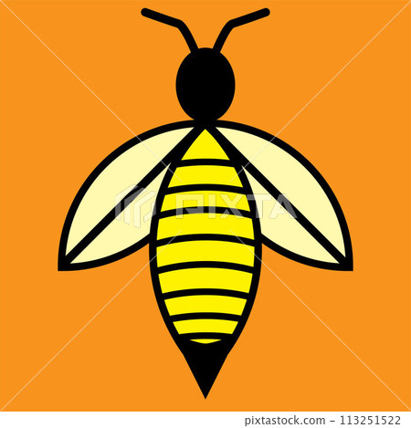 Vector image of a bee on an orange background 113251522