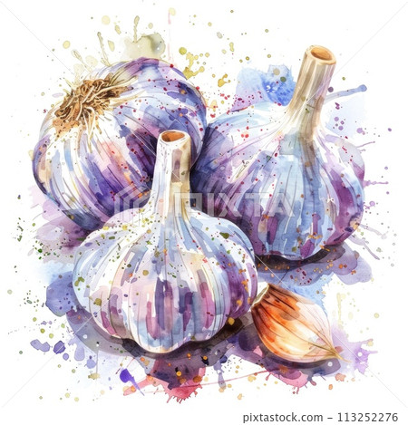 A striking watercolor depiction of garlic bulbs with earth-toned splashes 113252276