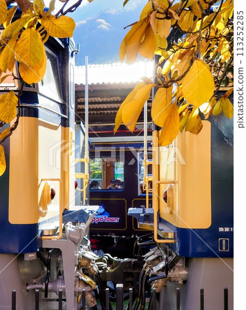 火車透過黃葉窺視 113252285