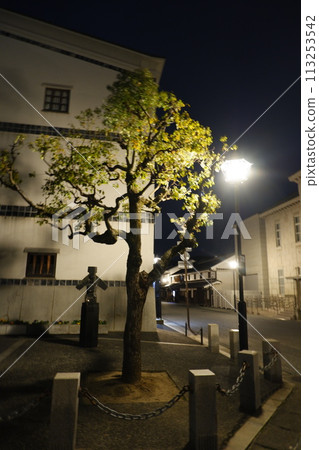 岡山縣倉敷市美觀歷史街區夜景 113253542