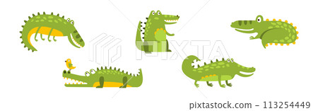 Funny Green Crocodile Character In Different Pose Vector Set 113254449