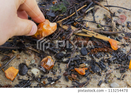 Beautiful pieces of amber in your hand. A glowing wavy piece of amber on your palm. The sunstone. 113254478