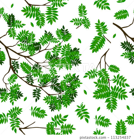 Seamless background of twigs with green leaves. Hand drawing. Not AI. Vector illustration 113254837