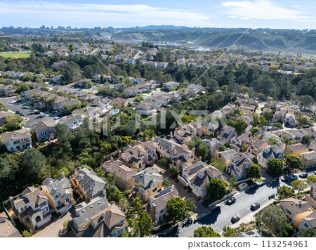 Aerial view of middle class subdivision neighborhood with residential houses in San Diego, California, USA. 113254961