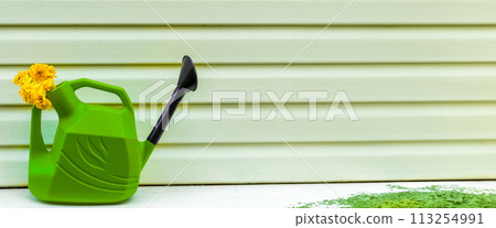 Banner with green garden watering can and yellow flowers in it. On background of siding. Copy space, text space, template, layout, mockup 113254991