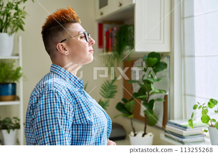 Profile portrait of serious middle-aged woman in glasses looking at window Profile portrait of serious middle-aged woman in glasses looking at window 113255268