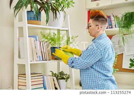 Middle-aged woman cleaning house, female wiping dust in room 113255274