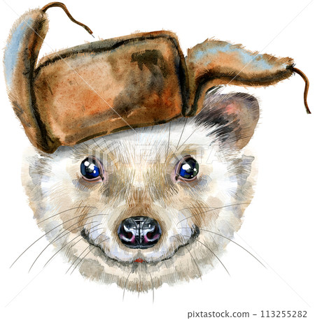 Watercolor portrait of a hedgehog in hat on white background 113255282