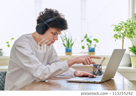 Young male college student sitting at desk, talking in web camera of laptop 113255292
