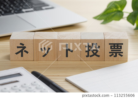 上面寫著線上投票的積木塊 113255606