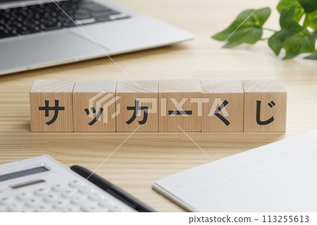 上面寫著足球彩券的積木 上面寫著足球彩券的積木 113255613