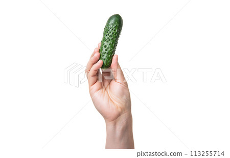 ripe cucumber vegetable in hand isolated on white background ripe cucumber vegetable in hand isolated on white background 113255714
