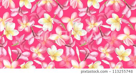 Seamless floral pattern pink plumeria flowers pastel background. Illustration watercolor hand drawing. For fabric print design texture. bright pink background 113255748