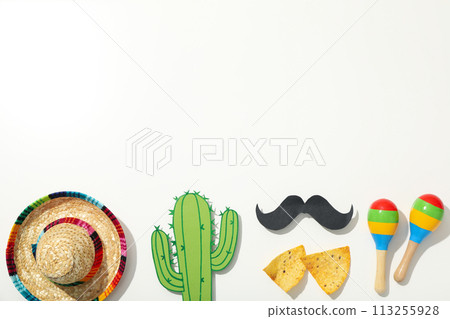 Sombrero with a decorative mustache on a light background 113255928